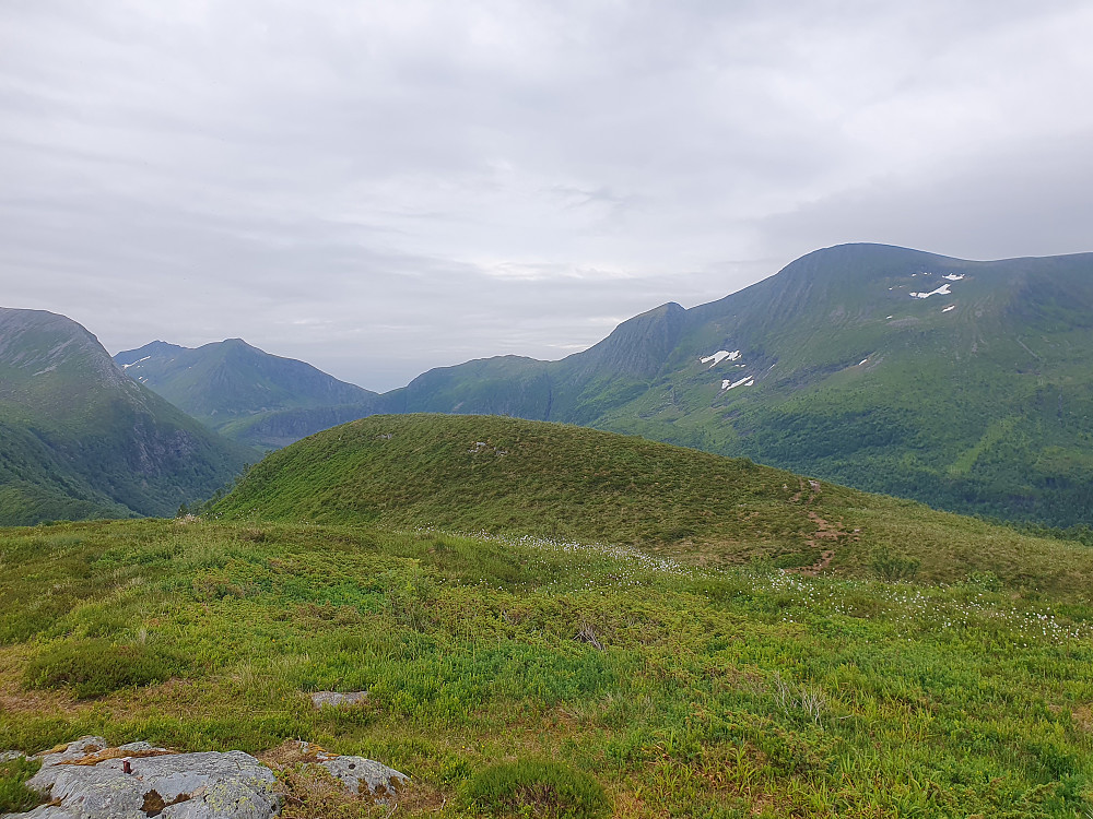 Mot høyeste punkt - bak troner Bjørnen/Butippen og Dyrdalsfjellet/Urfjellet