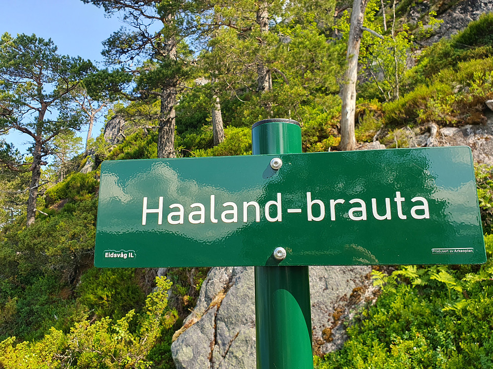 Haaland har tydeligvis engasjert seg her