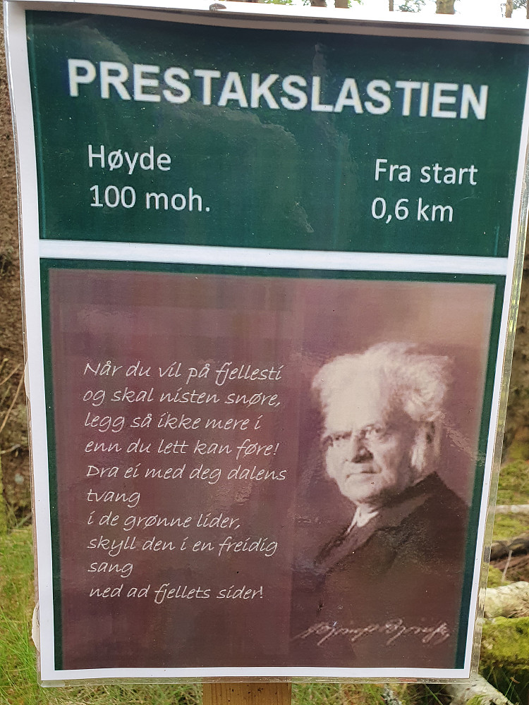 Ni slike Bjørnsonsitater oppetter (hver 500 høydemeter)