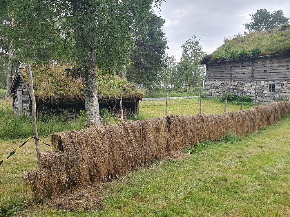Dårlig høytørk på Romsdalsmuseet 