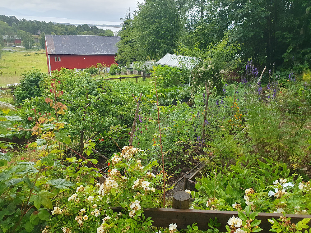 Urtehagen på Holmarka 