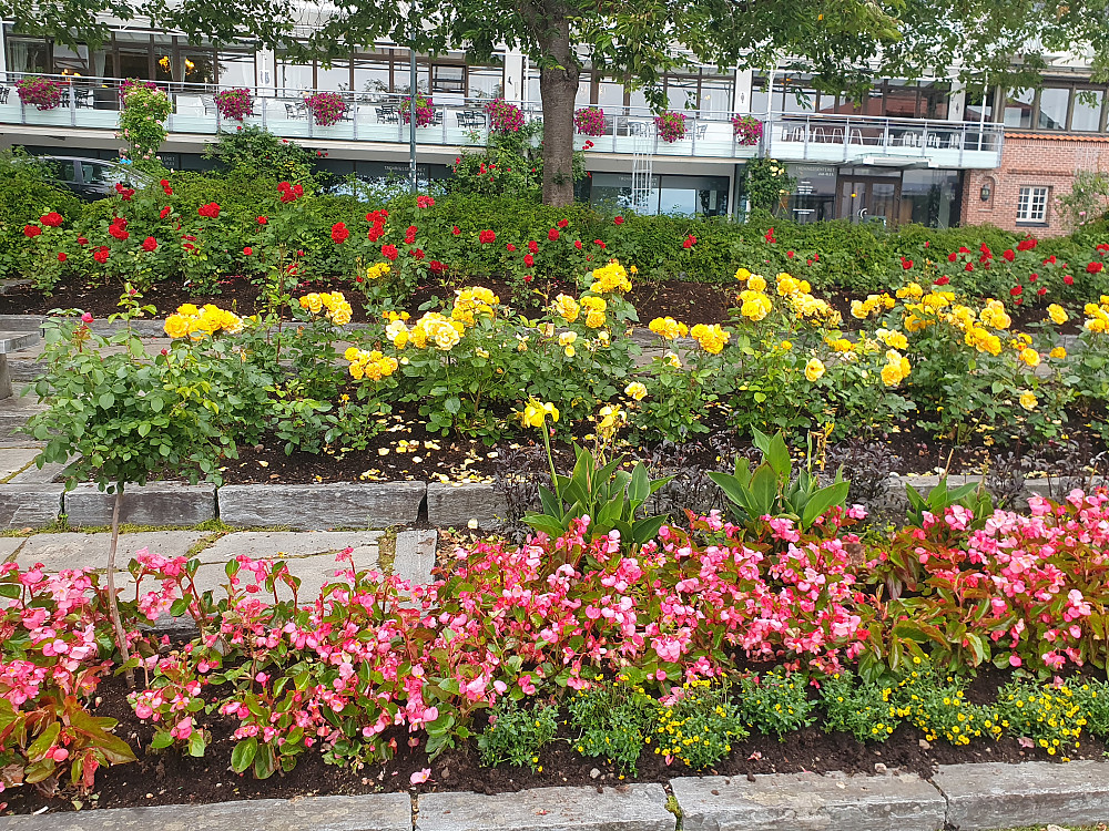 Alexandraparken 