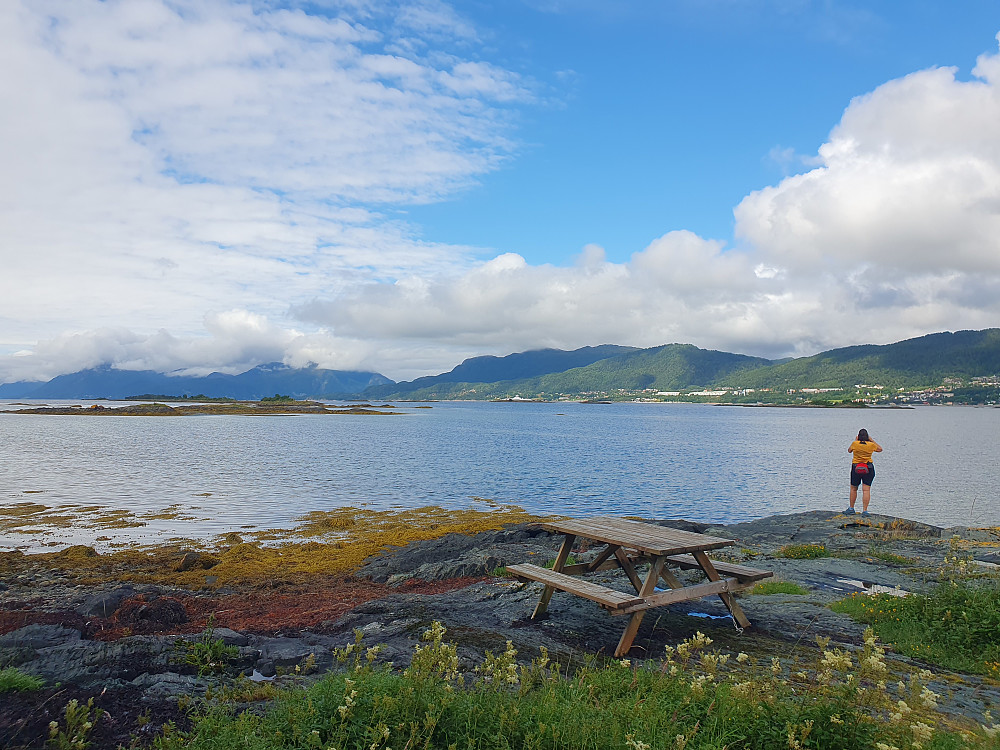 Vestbukta