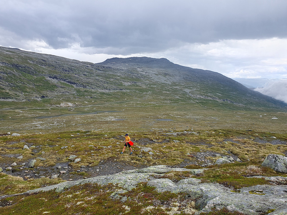 Opp mot Fugleleikhøa, Raudmyrhøa bak.