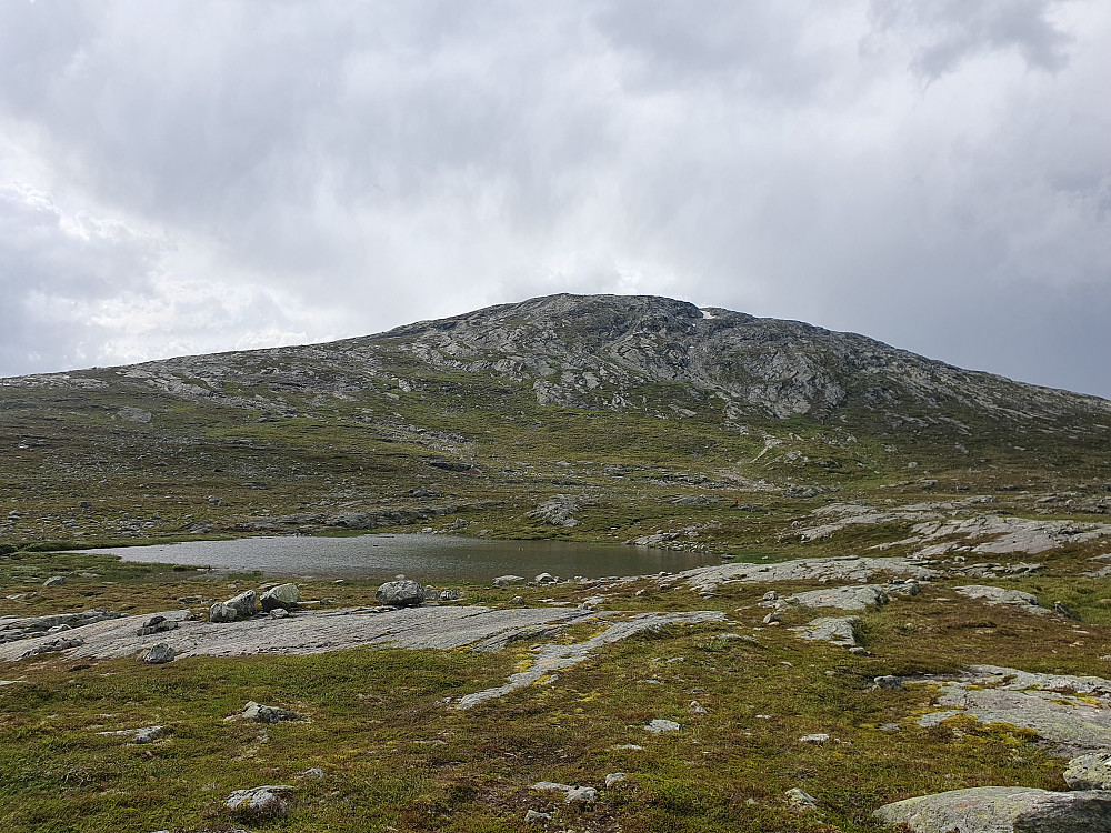 Forflyttet bilen til rett under Fugleleikhøa, og fikk en fin tur uten sti opp dit.