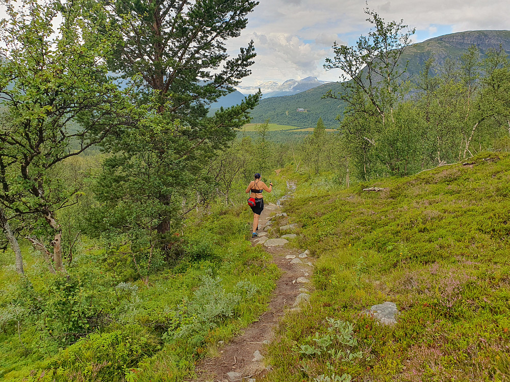 Flott og trivelig sti ned Asbjørnsdalen 