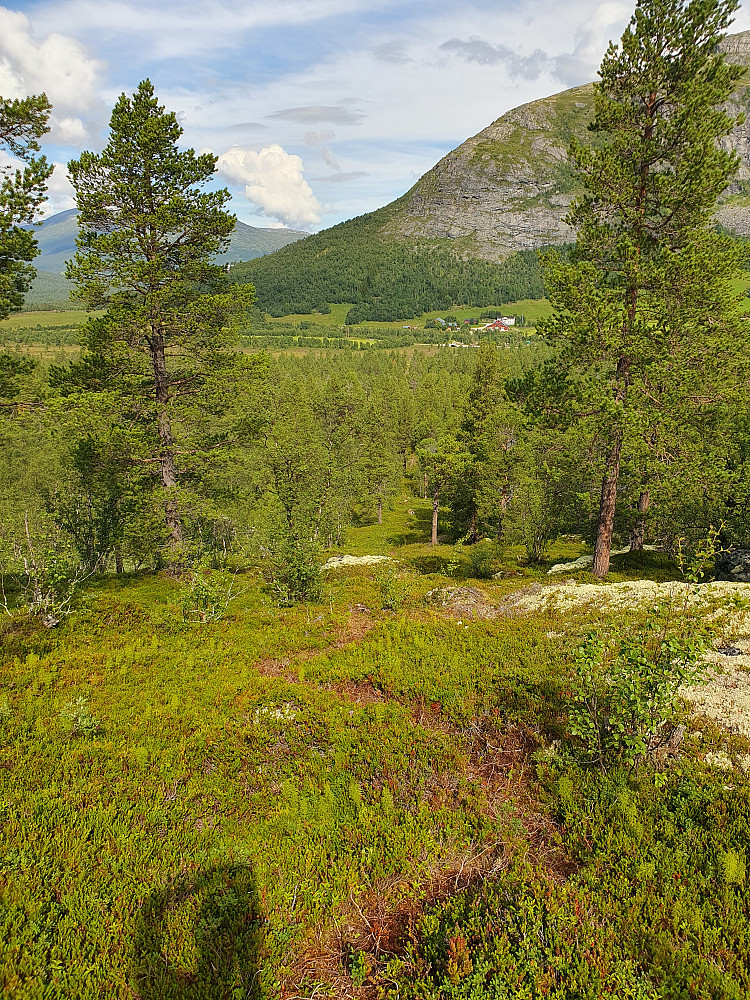 Tok ganske fort av råket inn Asjørnsdalen, og gikk grei sti opp til en liten mast. Ingen sti fra der over toppen, og over til Asbjørnsdalen.
