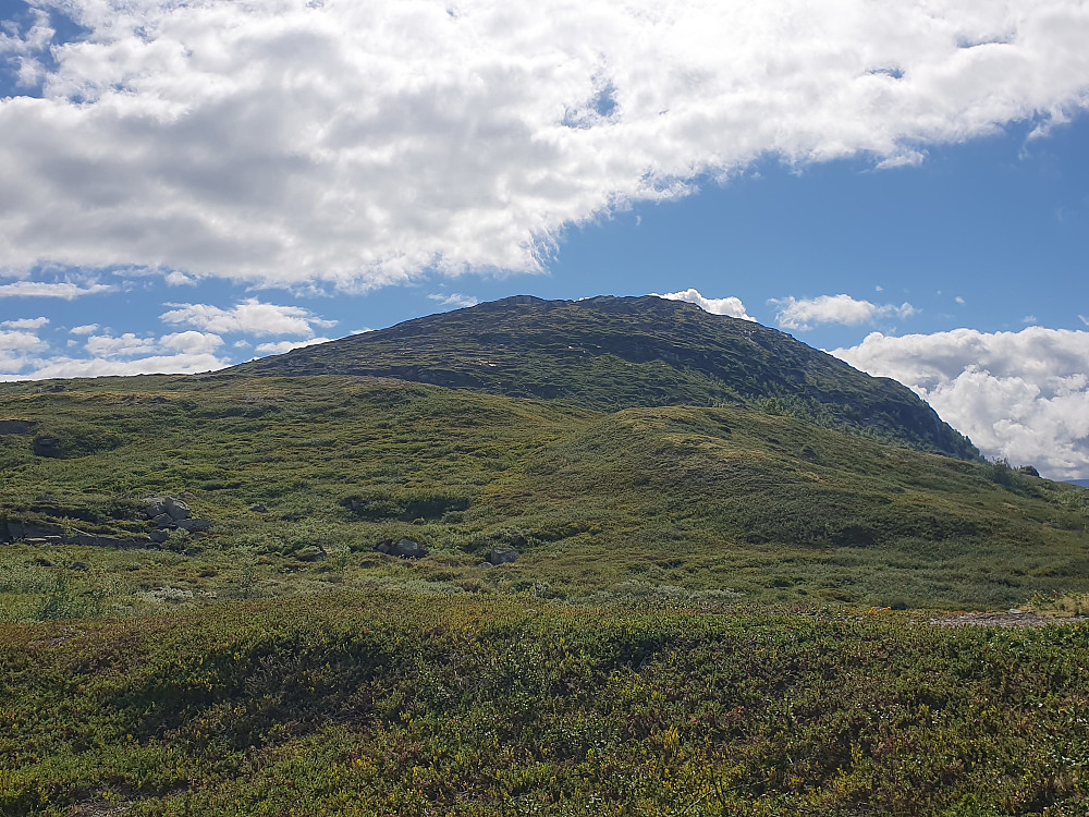 Kongelberget 