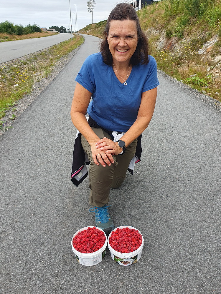 Bra fangst på en times plukking (med gåing til/fra) på fredagskvelden (villbringebær)