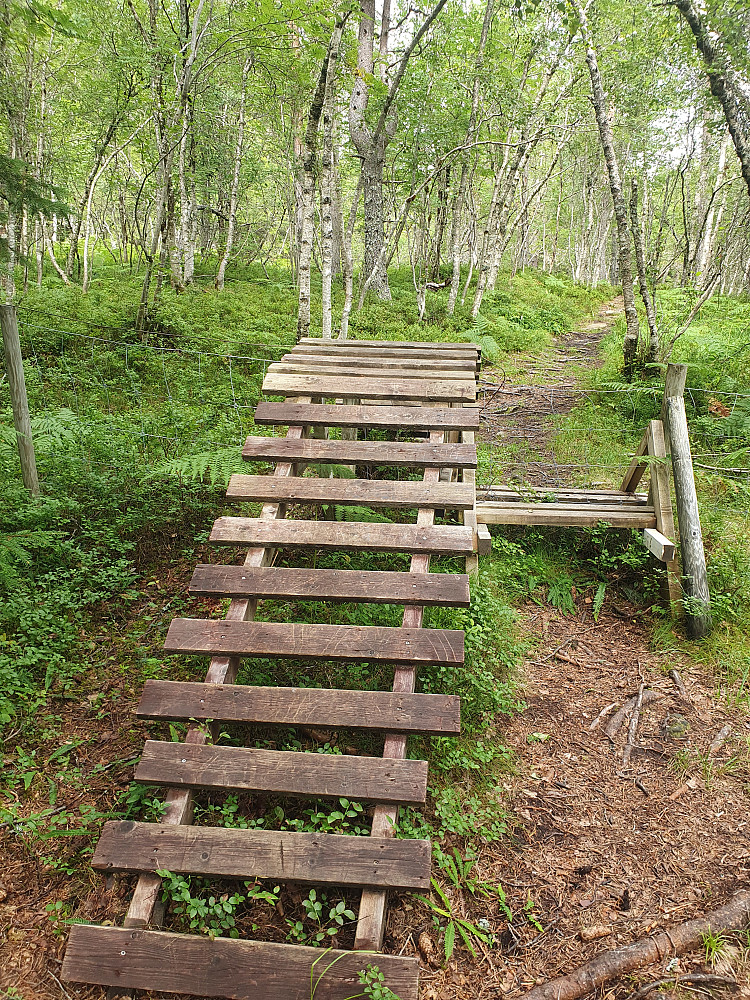 Sykkelbro og gangtrapp over rutegjerde.