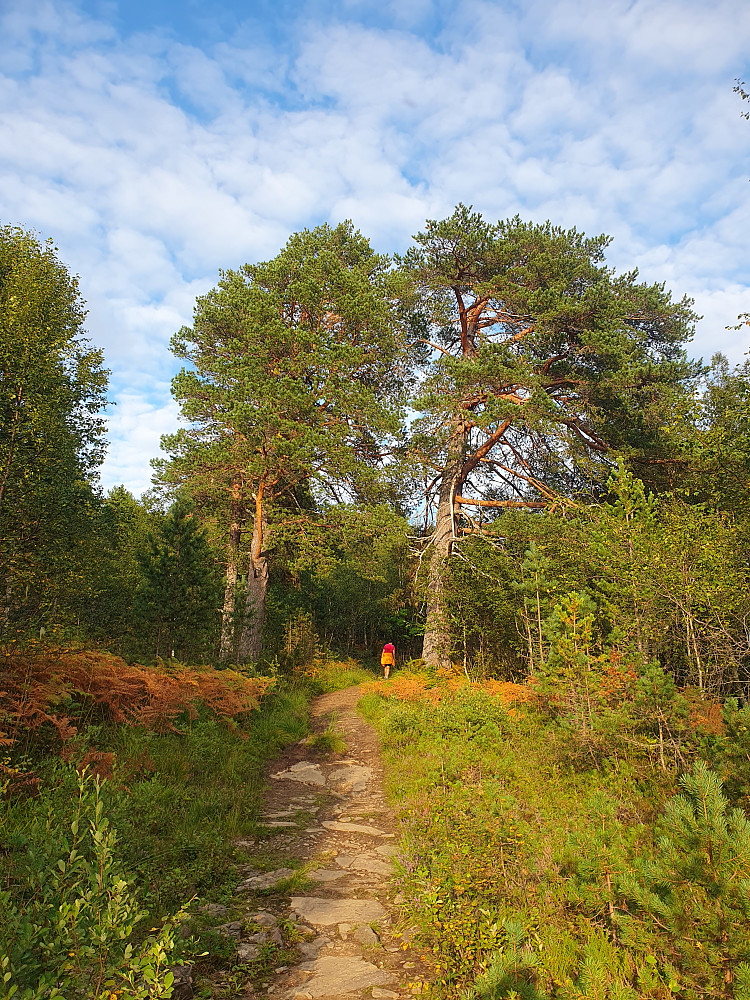 Porten til Hausen 