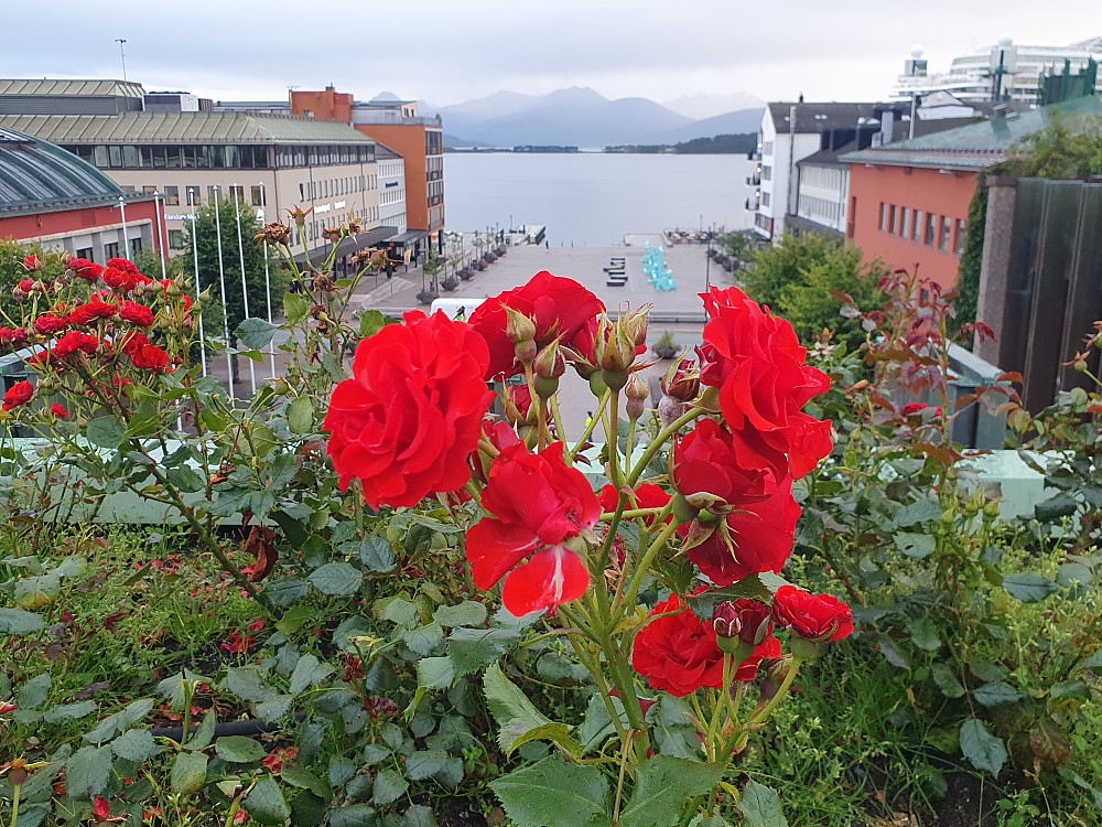 Rådhustaket