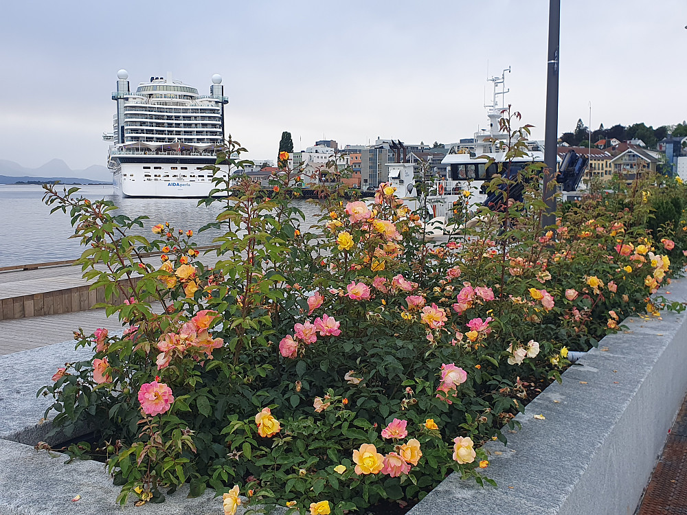 Sjøsiden