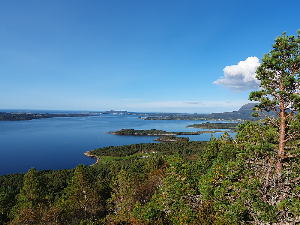 Nordover mot Harøyfjorden