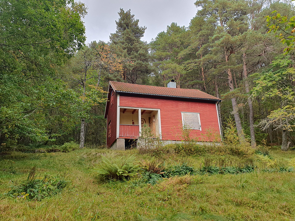 Huset i skogen, Skogstua 