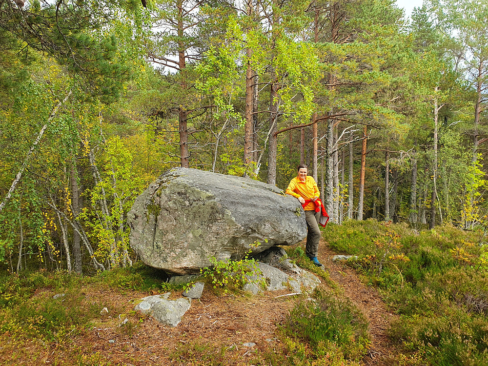 Storsteinen