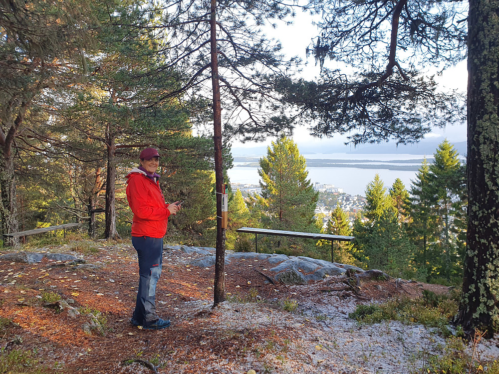 Stolpe sør for Hatlelihaugen - alle 35 stolper besøkt i dag :-)