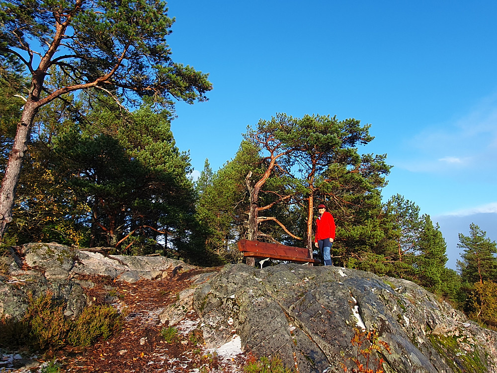 Brattlihaugen