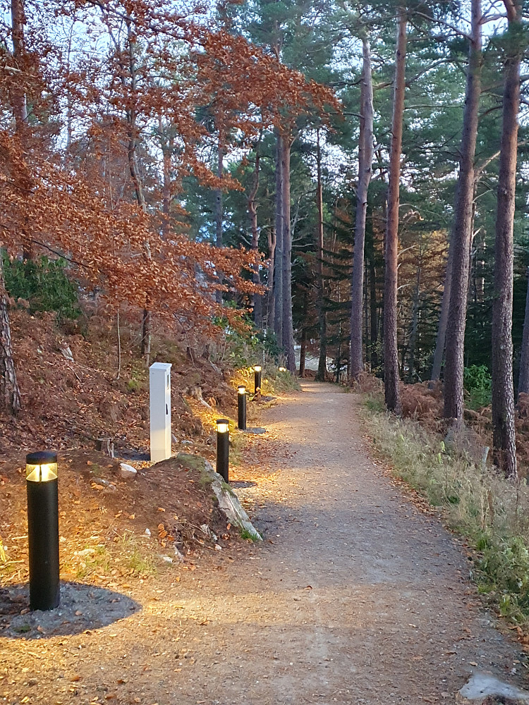 Reknesparken