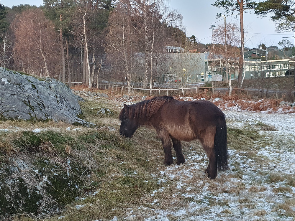 Holmarka