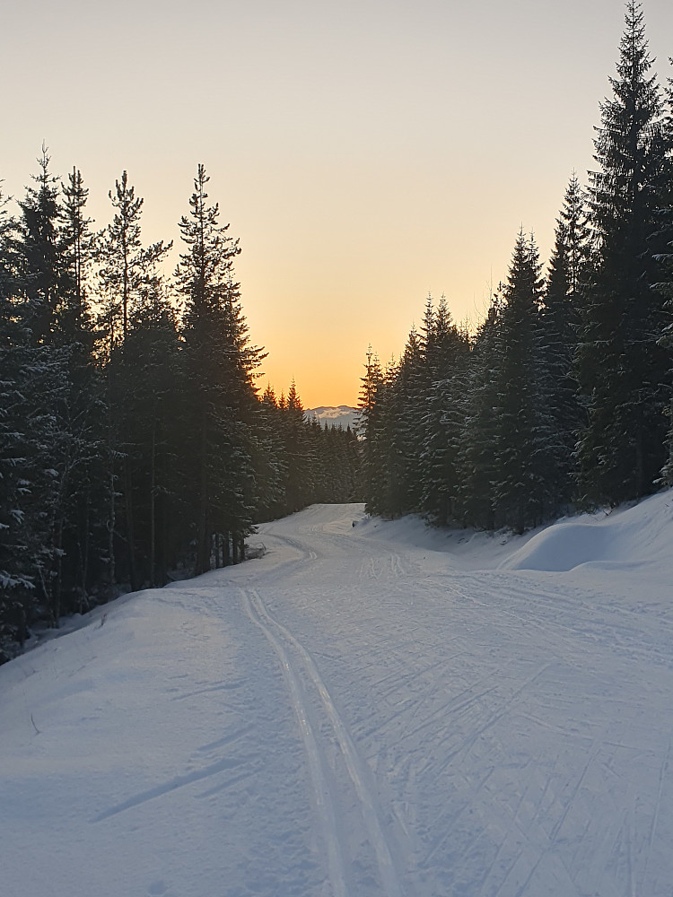 Kordalsmota