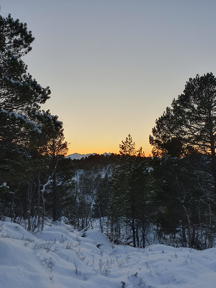 På Merrahaugen
