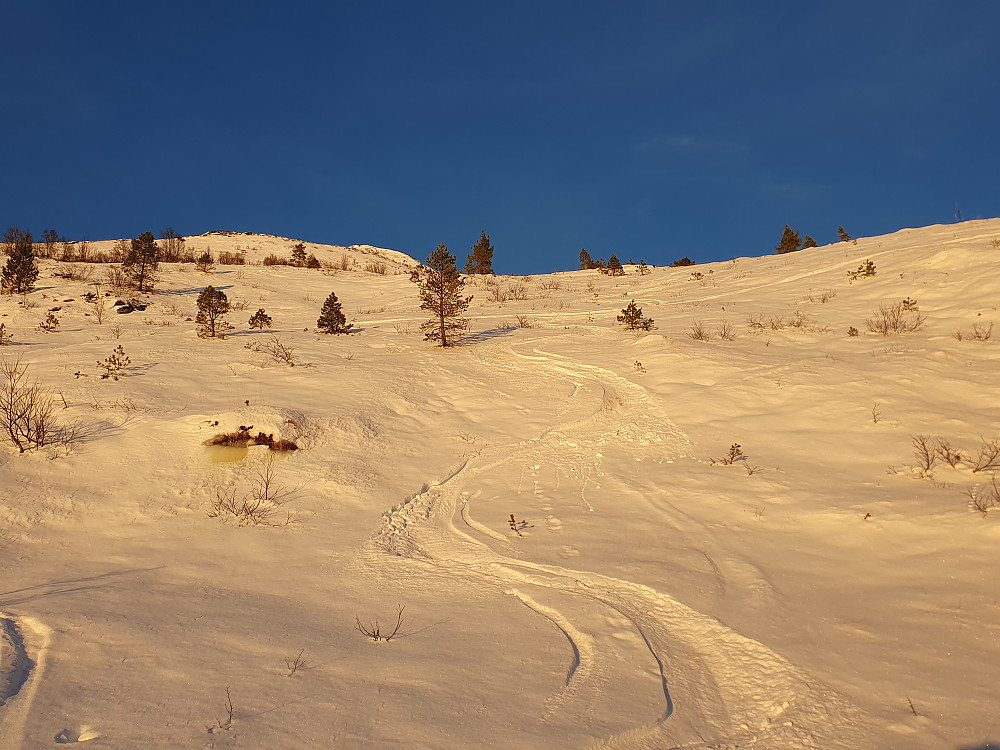 Bra forhold i Vestfjella 