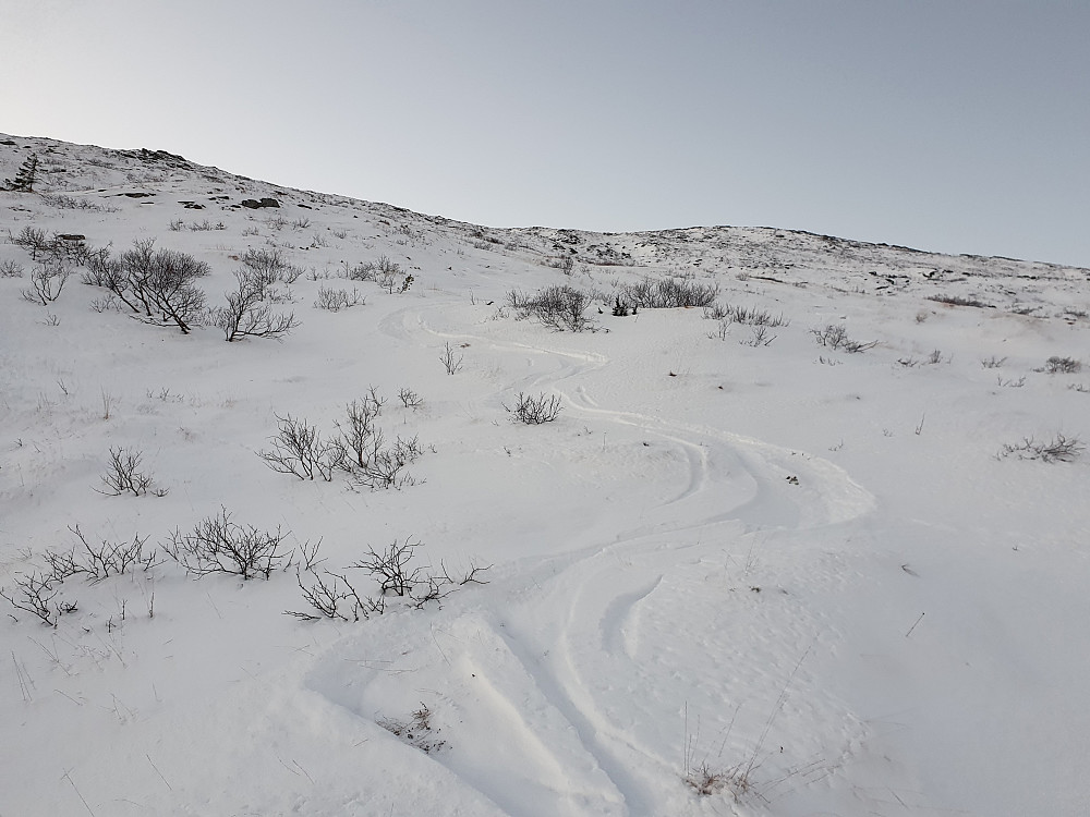 Bra føre i Østfjella, på ikke alt for mye snø