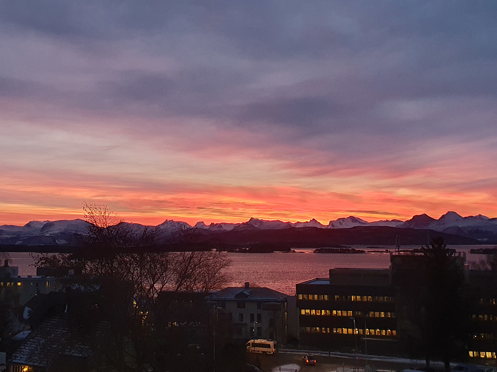 Slenger på et par morgenbilder fra kontoret..