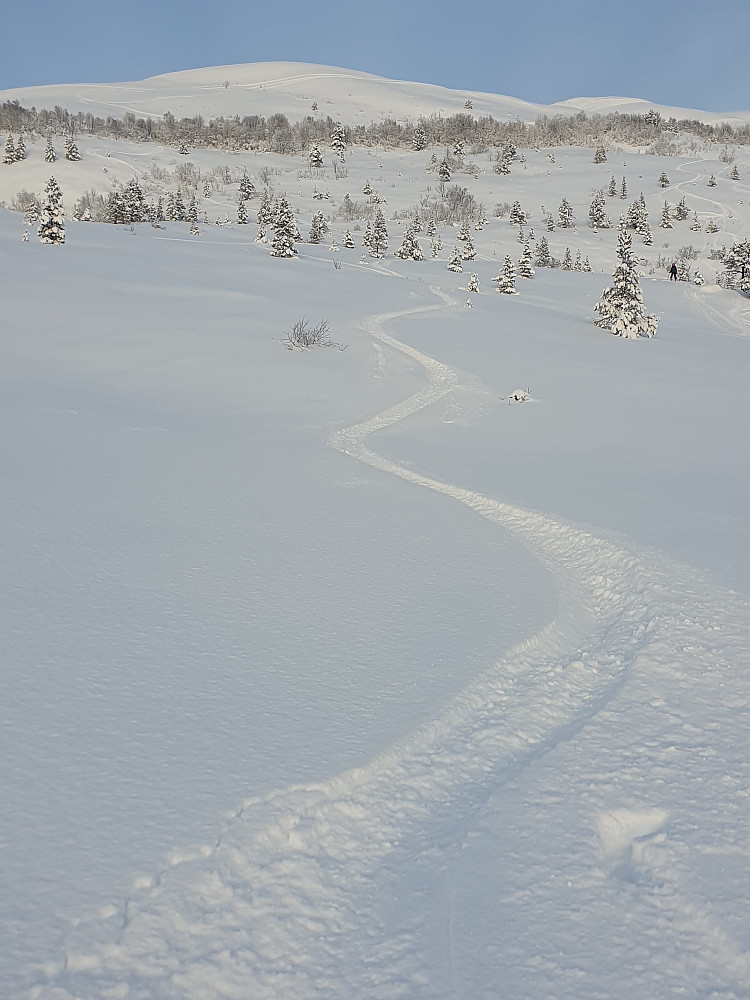 Vestfjella 