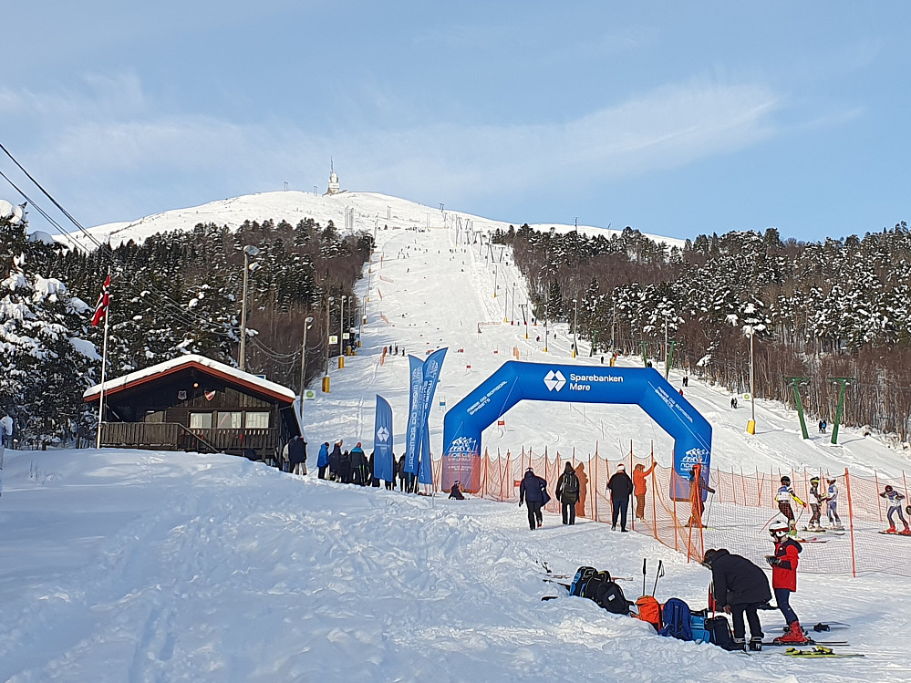 Storslalåmrenn på Tusten 