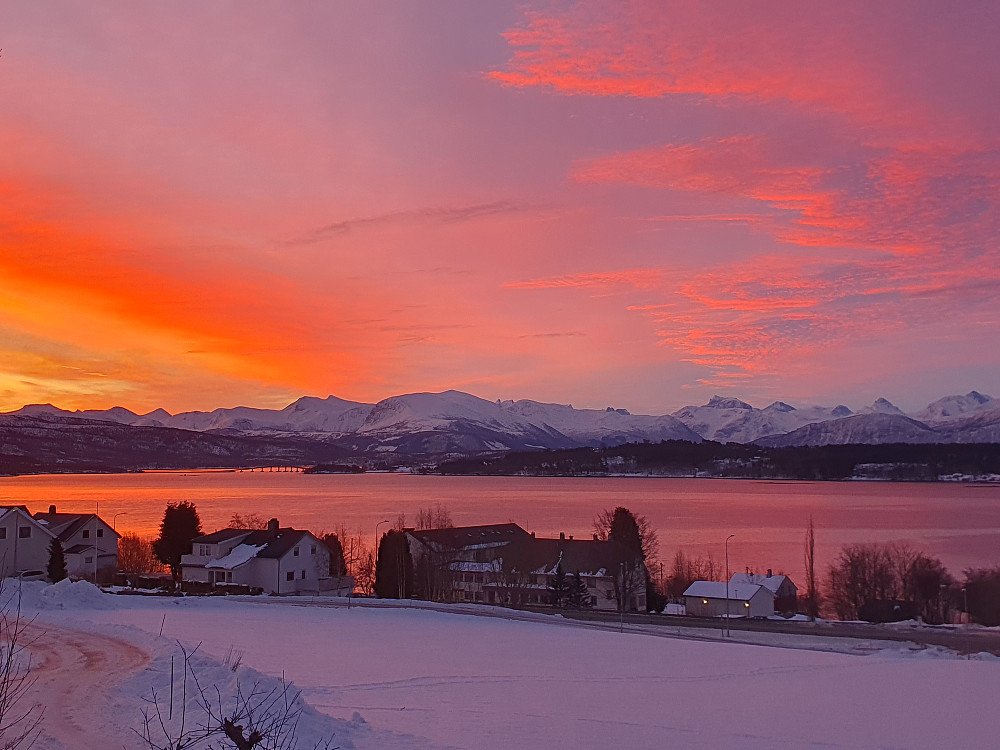 Morgenstemning i Myrvegen 