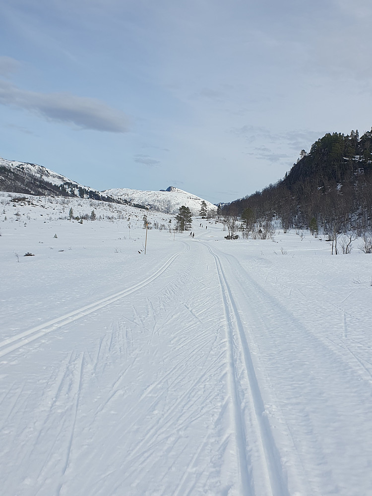 Innover mot Langdalsreset 