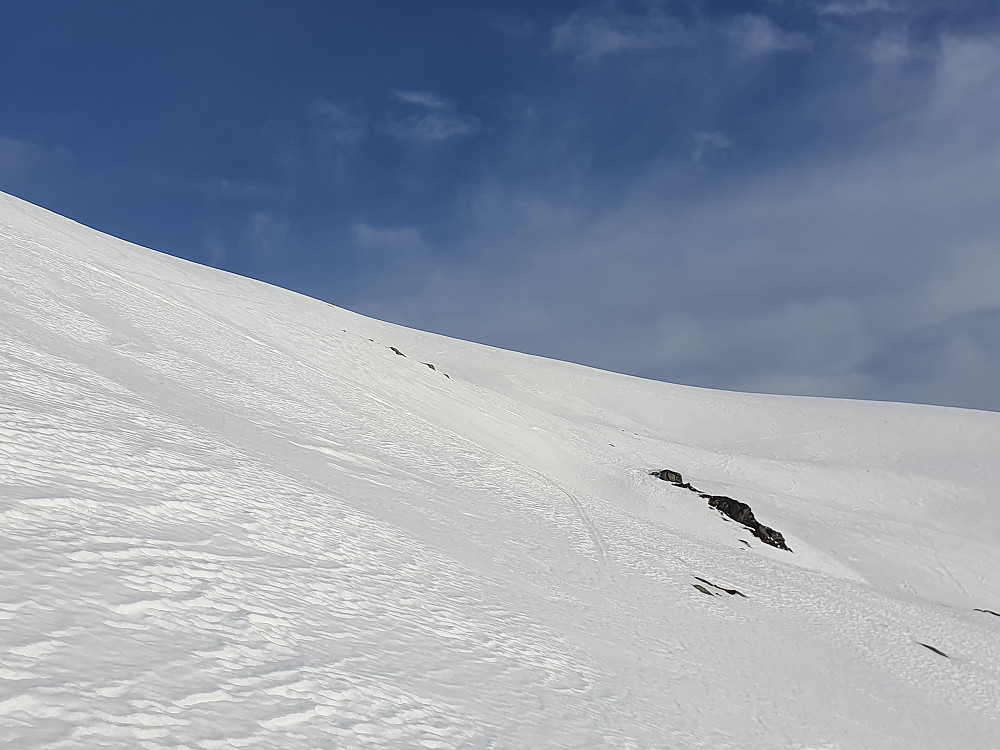 Urfjellbotnen - her skal det være ei Rype på bildet
