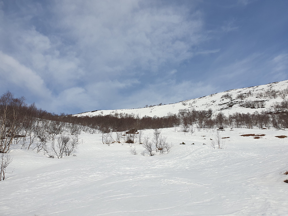 Men mye snø i høyden