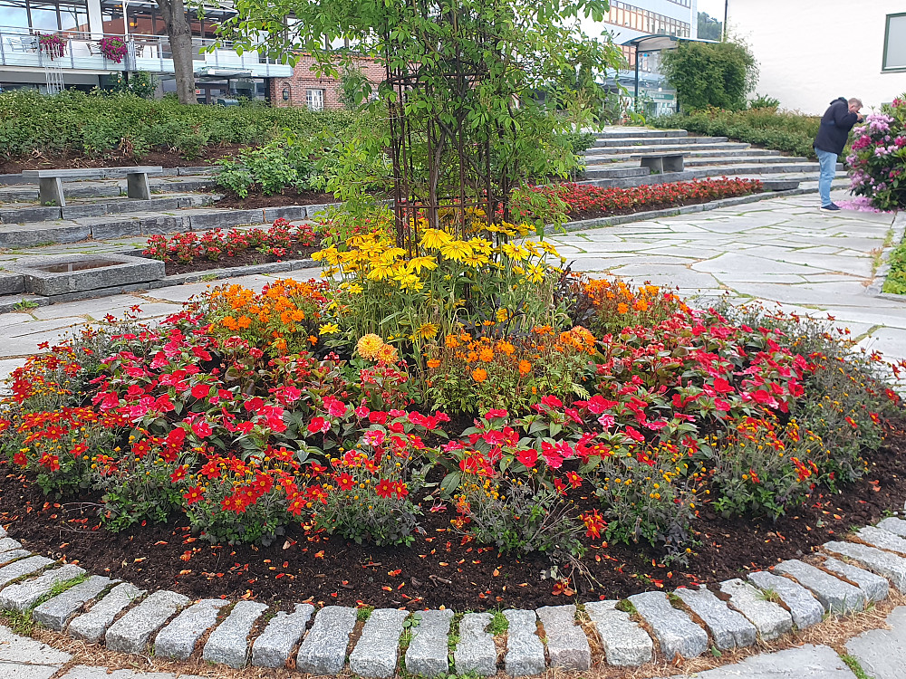 Alexandraparken 