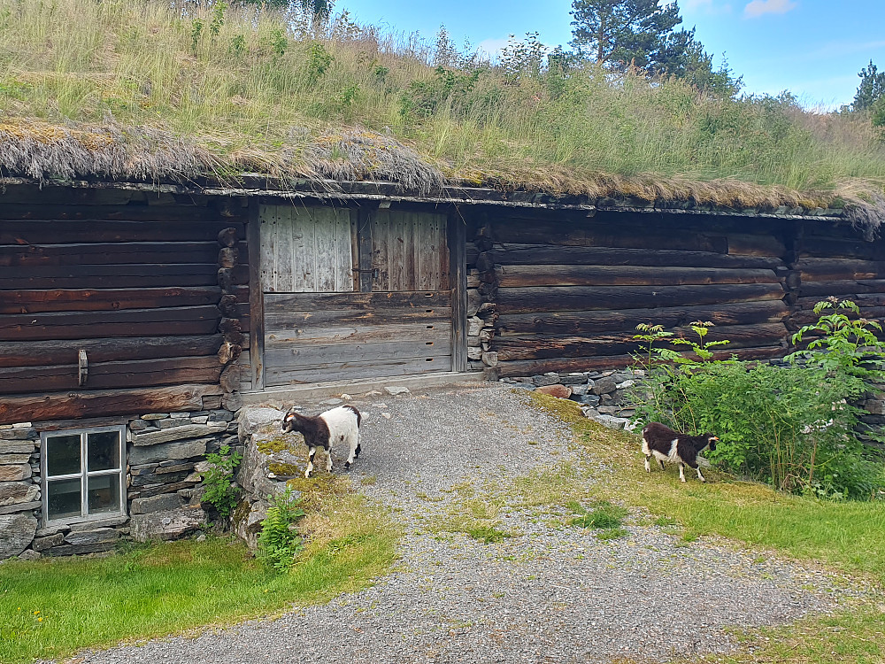Romsdalsmuseet 