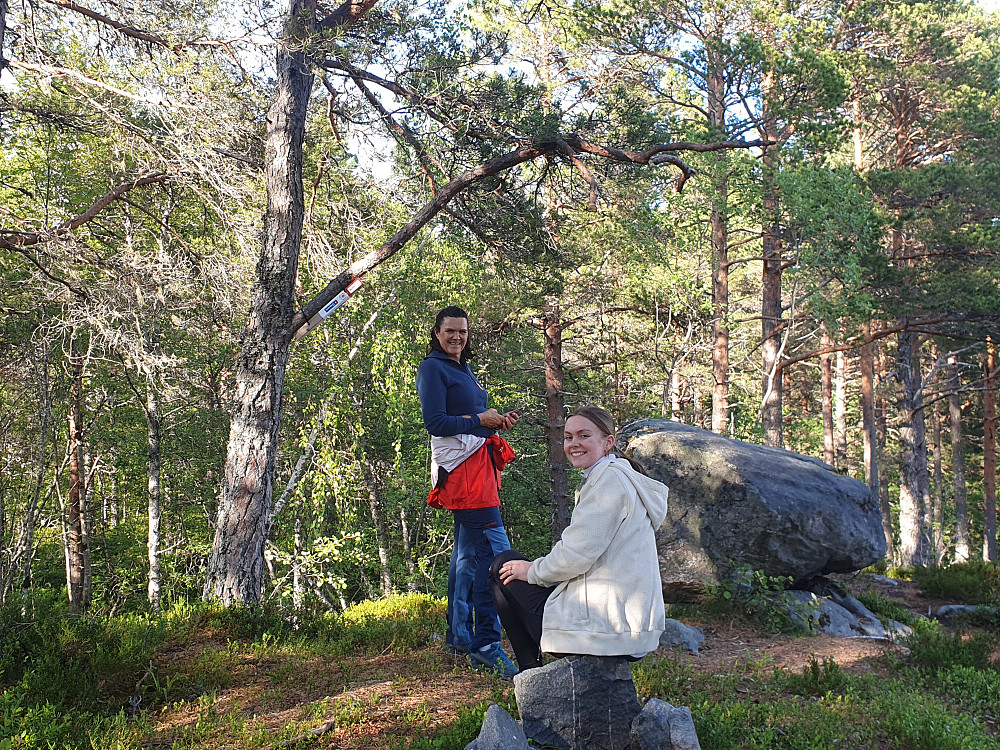 V/Storsteinen 