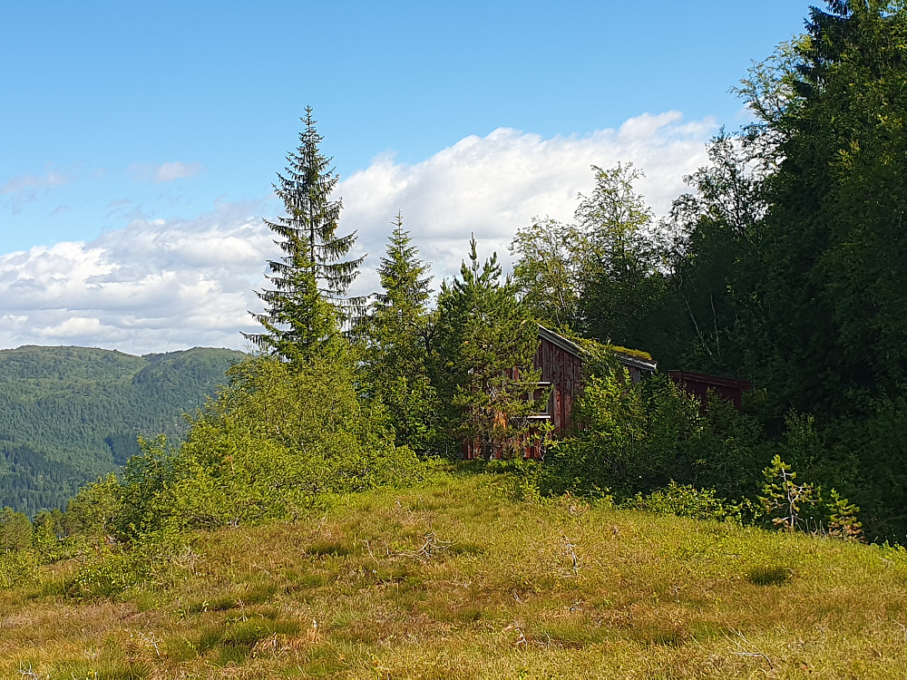Godt skjult hytte innunder Kringlåthaugen