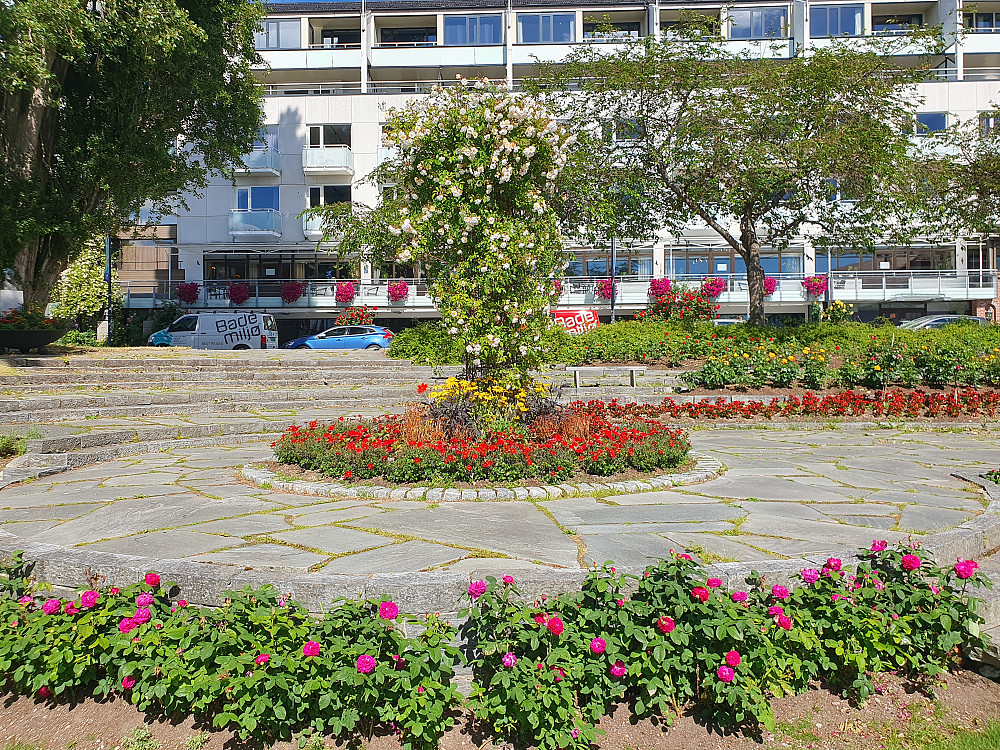 Alexandraparken