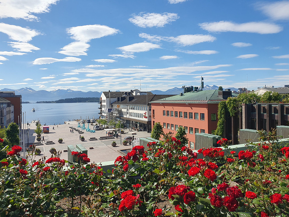 Rådhustaket