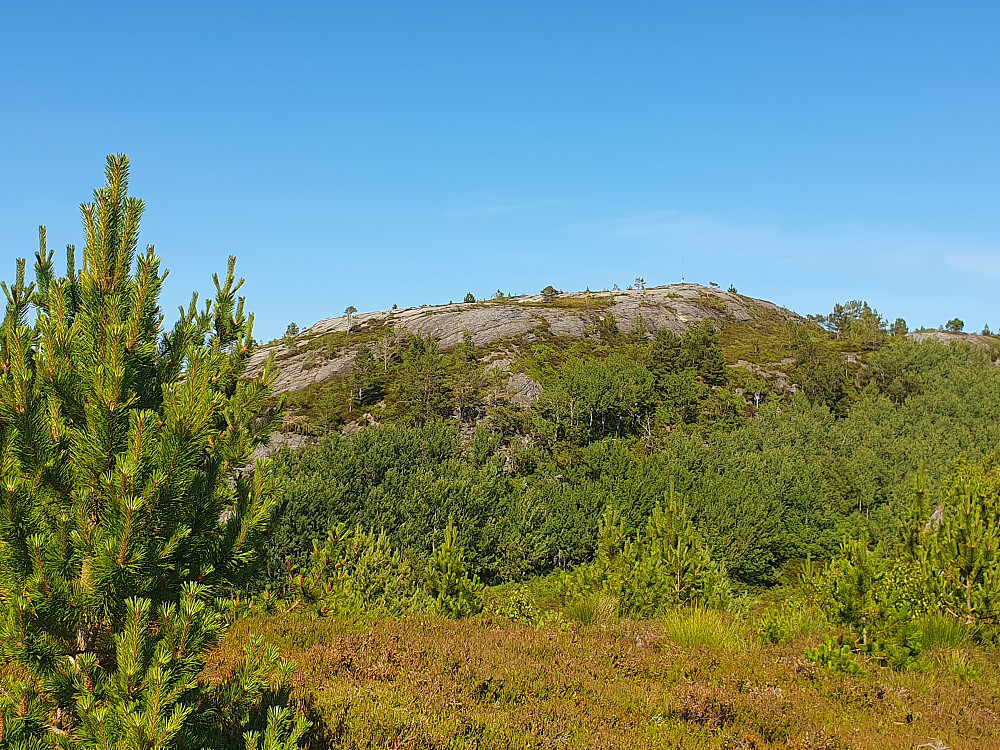 Jærmannburet sett fra sørtoppen