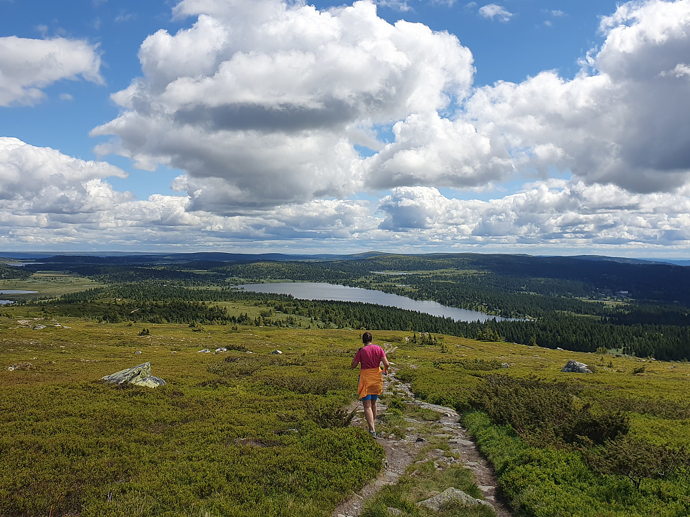 Ned mot Nevelvatnet