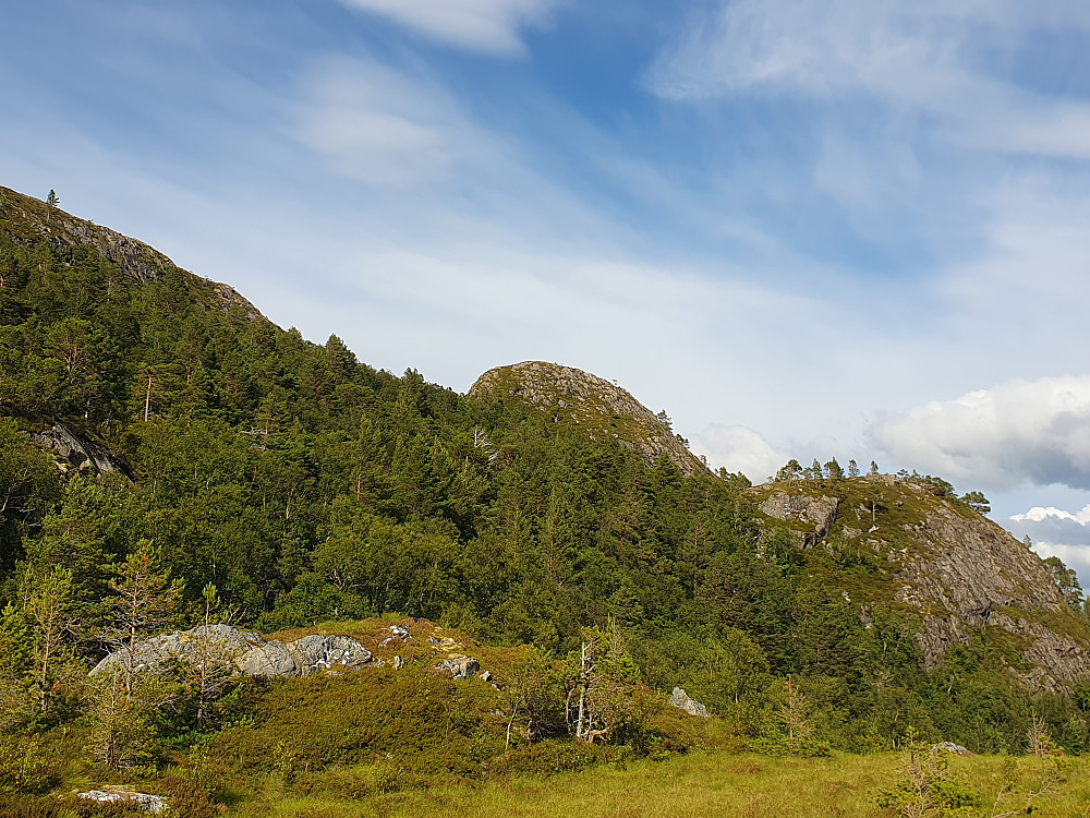 Høgheia