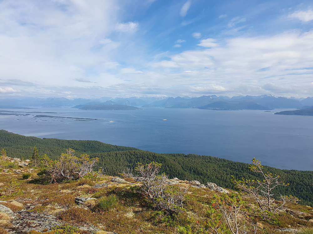 Utsikt fra Høgheia