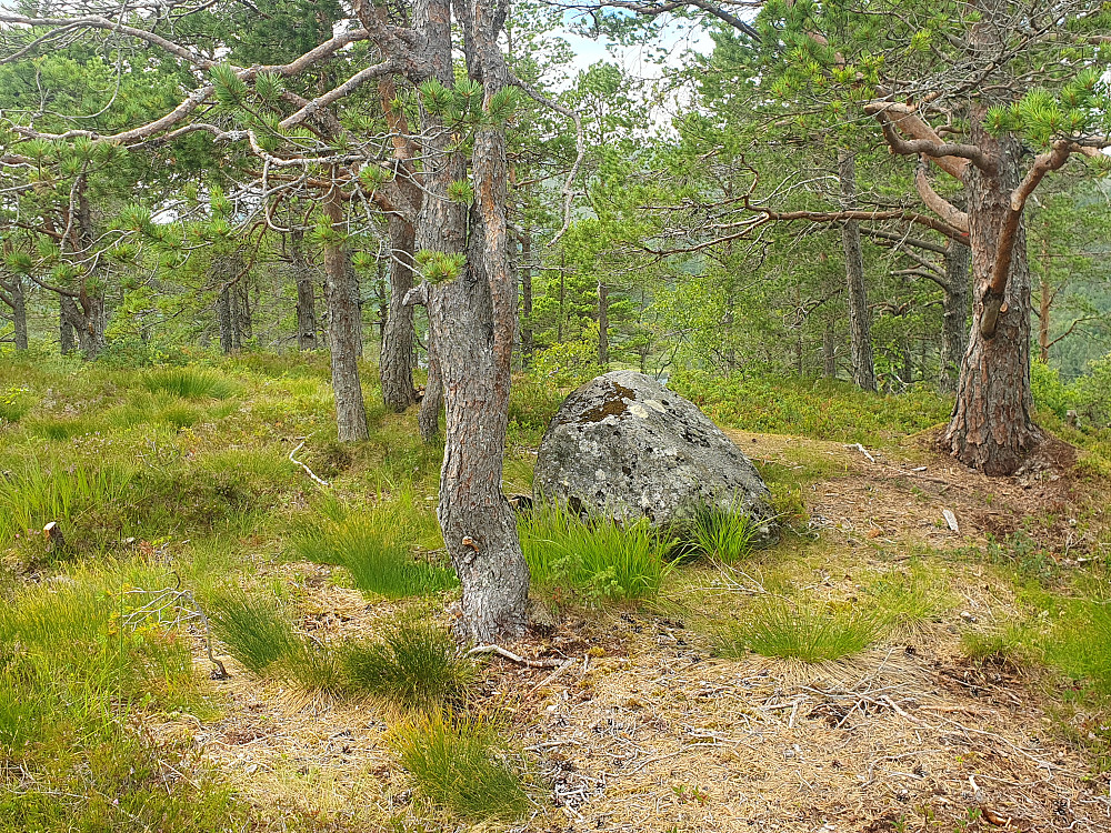 På Hindalsrøra