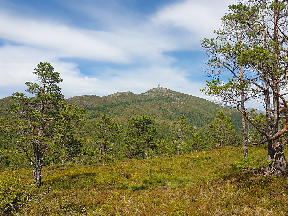 Tusten sett fra Eikremsnakken