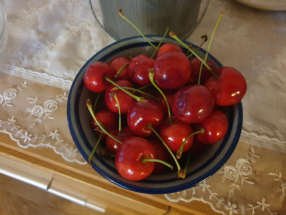 Deilige moreller i hagen nå 