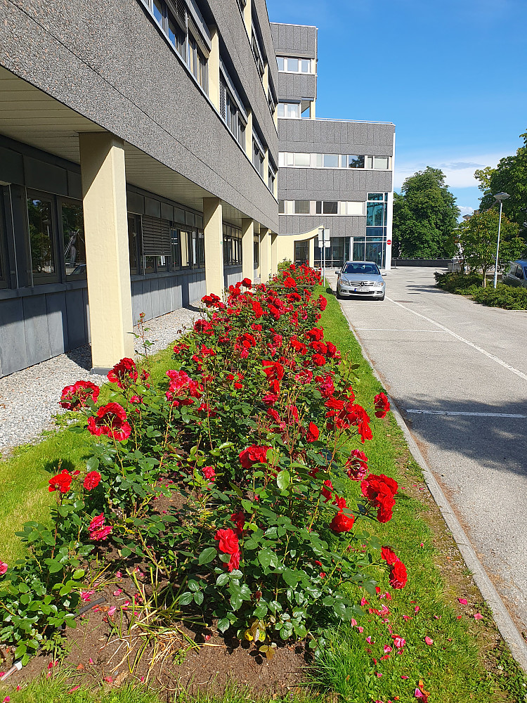 Utenfor Fylkeshuset