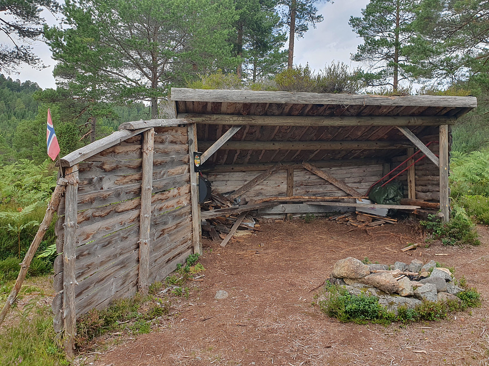 Eikamyra gapahuk (Stikk-ut)